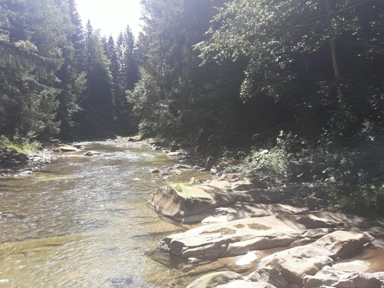 Pensjonat U Anastasii I Sofii Bilya Richki Mikuliczyn Zewnętrze zdjęcie