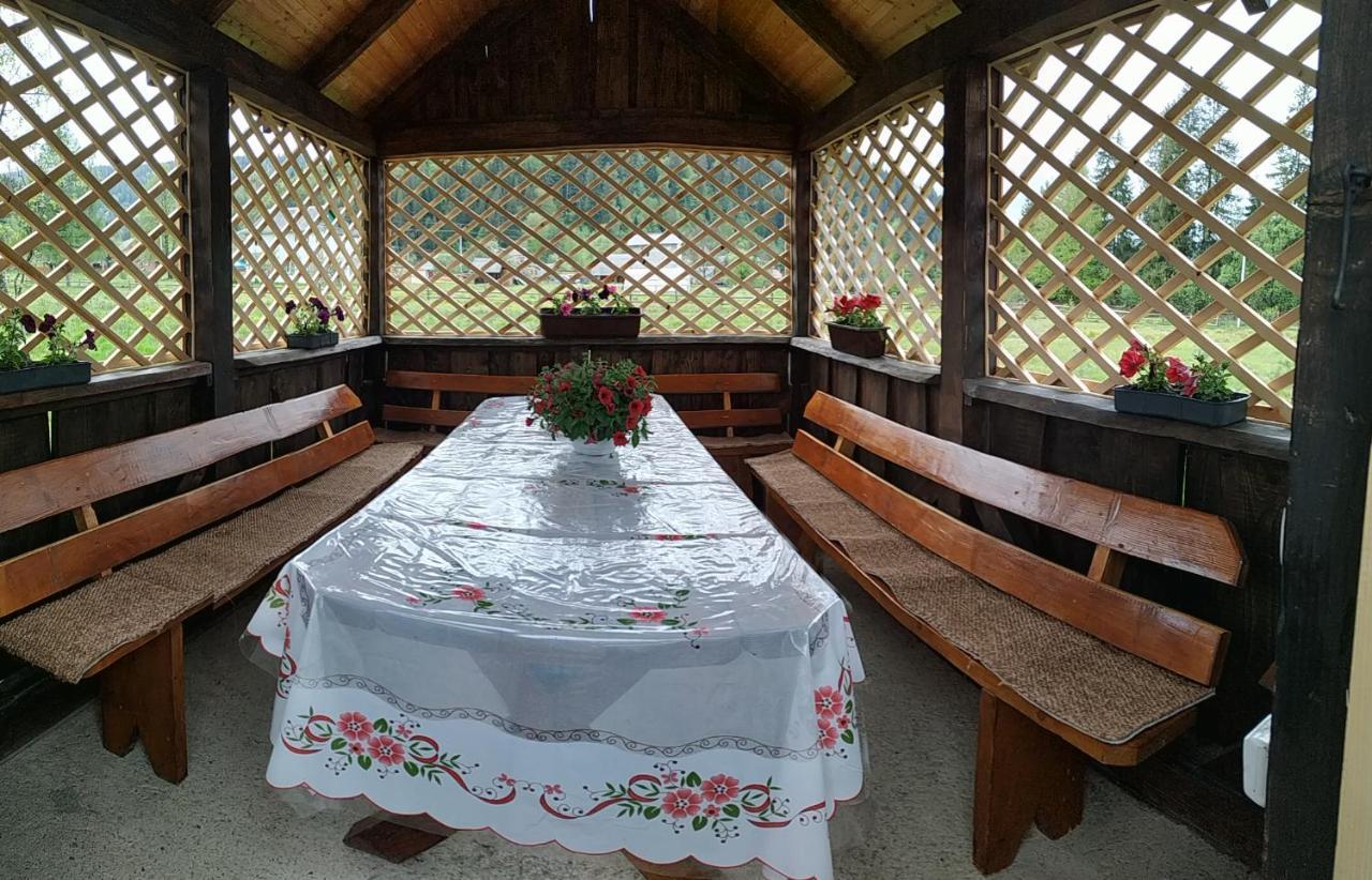 Pensjonat U Anastasii I Sofii Bilya Richki Mikuliczyn Zewnętrze zdjęcie